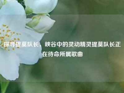 探寻提莫队长，峡谷中的灵动精灵提莫队长正在待命所属歌曲