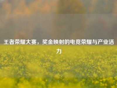 王者荣耀大赛，奖金映射的电竞荣耀与产业活力