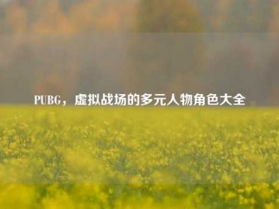 PUBG，虚拟战场的多元人物角色大全