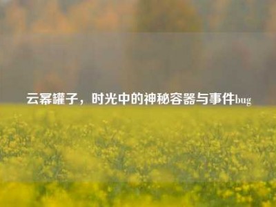 云幂罐子，时光中的神秘容器与事件bug