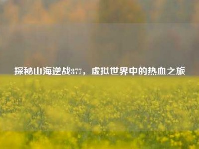 探秘山海逆战877，虚拟世界中的热血之旅