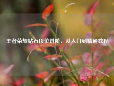 王者荣耀钻石段位进阶，从入门到精通教程