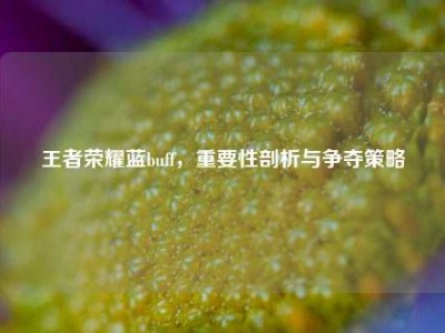 王者荣耀蓝buff，重要性剖析与争夺策略