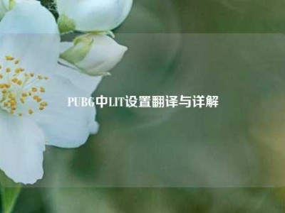 PUBG中LIT设置翻译与详解