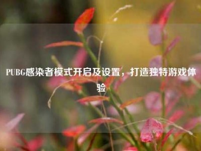 PUBG感染者模式开启及设置，打造独特游戏体验