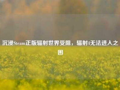 沉浸Steam正版辐射世界受阻，辐射4无法进入之困