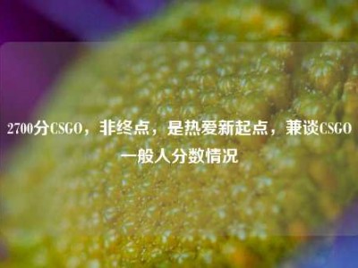 2700分CSGO，非终点，是热爱新起点，兼谈CSGO一般人分数情况