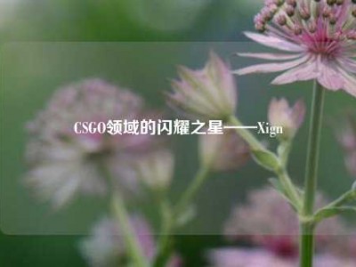 CSGO领域的闪耀之星——Xign