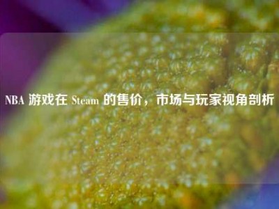 NBA 游戏在 Steam 的售价，市场与玩家视角剖析