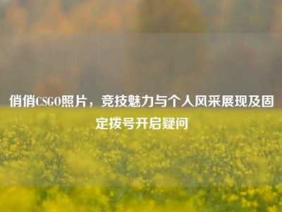 俏俏CSGO照片，竞技魅力与个人风采展现及固定拨号开启疑问