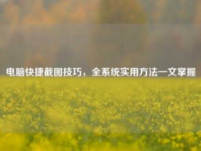 电脑快捷截图技巧，全系统实用方法一文掌握