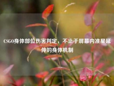 CSGO身体部位伤害判定，不止于屏幕内准星延伸的身体机制