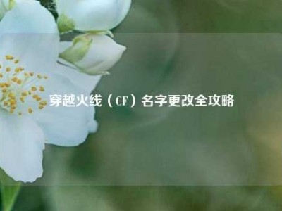 穿越火线（CF）名字更改全攻略