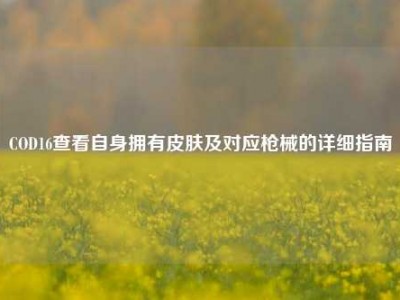 COD16查看自身拥有皮肤及对应枪械的详细指南