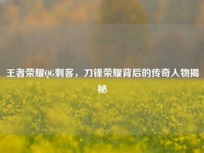王者荣耀QG刺客，刀锋荣耀背后的传奇人物揭秘