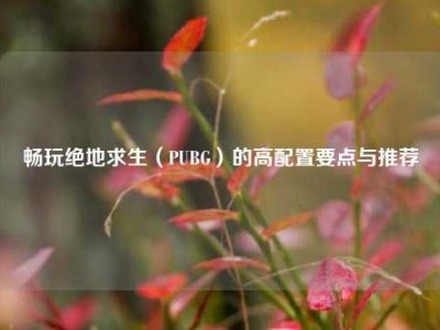 畅玩绝地求生（PUBG）的高配置要点与推荐