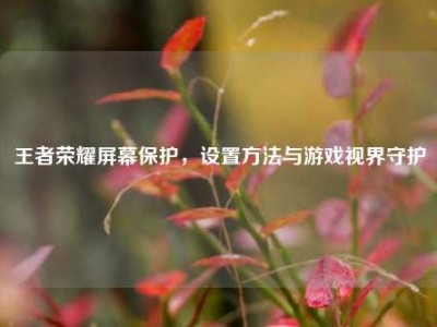 王者荣耀屏幕保护，设置方法与游戏视界守护