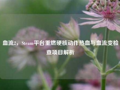 血流2，Steam平台重燃硬核动作热血与血流变检查项目解析