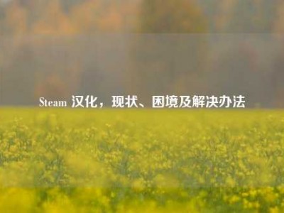 Steam 汉化，现状、困境及解决办法