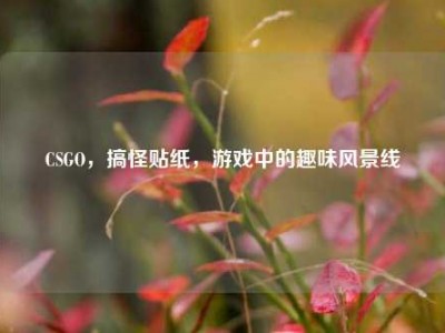 CSGO，搞怪贴纸，游戏中的趣味风景线