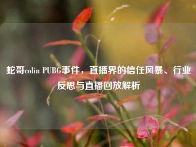 蛇哥colin PUBG事件，直播界的信任风暴、行业反思与直播回放解析