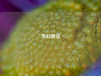 龙幻艳姿