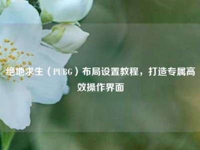 绝地求生（PUBG）布局设置教程，打造专属高效操作界面