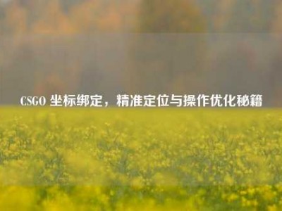 CSGO 坐标绑定，精准定位与操作优化秘籍