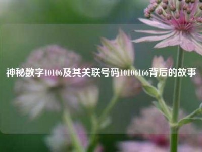 神秘数字10106及其关联号码10106166背后的故事