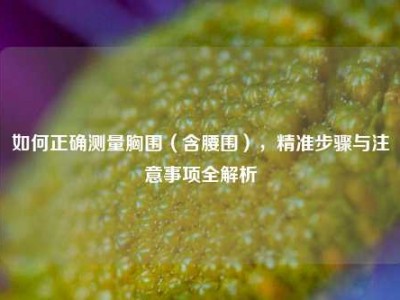 如何正确测量胸围（含腰围），精准步骤与注意事项全解析