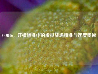 COD16，开镜瞄准中的虚拟战场精准与速度奥秘
