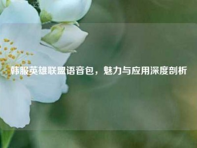 韩服英雄联盟语音包，魅力与应用深度剖析