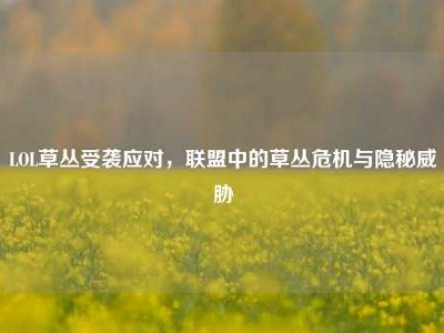 LOL草丛受袭应对，联盟中的草丛危机与隐秘威胁