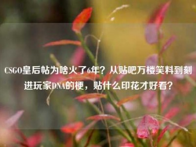 CSGO皇后帖为啥火了6年？从贴吧万楼笑料到刻进玩家DNA的梗，贴什么印花才好看？