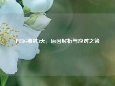 PUBG被封3天，原因解析与应对之策