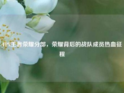 FPX王者荣耀分部，荣耀背后的战队成员热血征程
