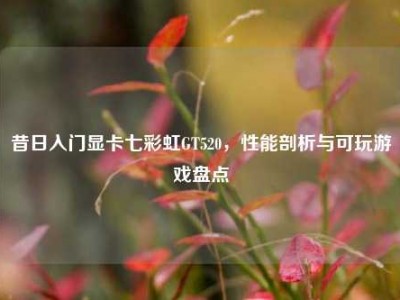 昔日入门显卡七彩虹GT520，性能剖析与可玩游戏盘点