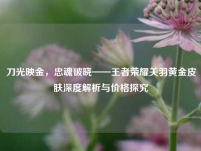 刀光映金，忠魂破晓——王者荣耀关羽黄金皮肤深度解析与价格探究