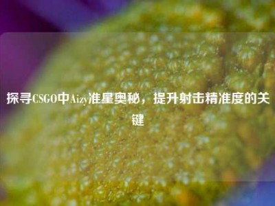 探寻CSGO中Aizy准星奥秘，提升射击精准度的关键