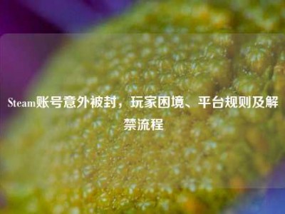 Steam账号意外被封，玩家困境、平台规则及解禁流程