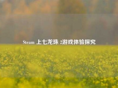 Steam 上七龙珠 2游戏体验探究