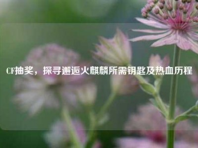 CF抽奖，探寻邂逅火麒麟所需钥匙及热血历程