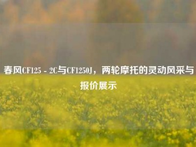 春风CF125 - 2C与CF1250J，两轮摩托的灵动风采与报价展示
