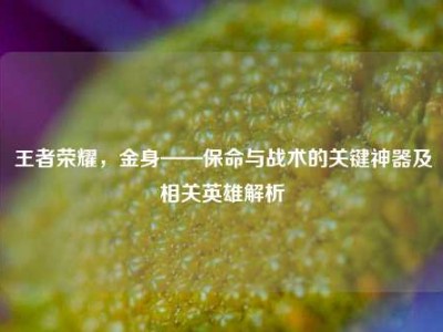 王者荣耀，金身——保命与战术的关键神器及相关英雄解析