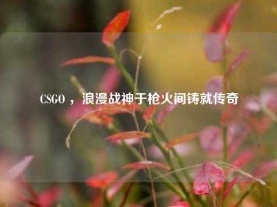 CSGO ，浪漫战神于枪火间铸就传奇