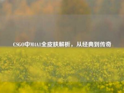 CSGO中M4A1全皮肤解析，从经典到传奇