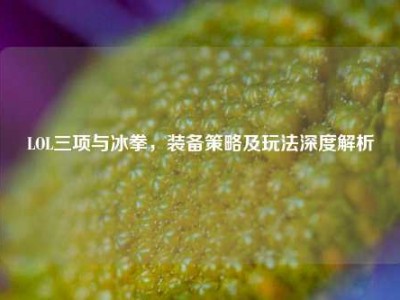 LOL三项与冰拳，装备策略及玩法深度解析