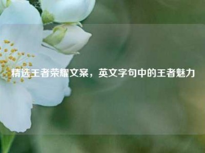 精选王者荣耀文案，英文字句中的王者魅力
