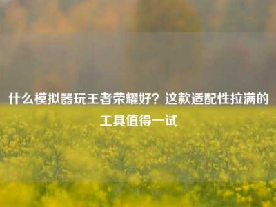 什么模拟器玩王者荣耀好？这款适配性拉满的工具值得一试