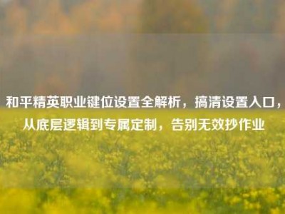 和平精英职业键位设置全解析，搞清设置入口，从底层逻辑到专属定制，告别无效抄作业